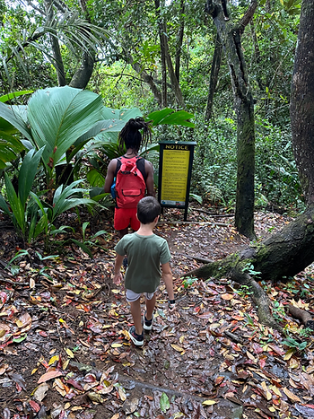 Copolia trail Mahè Seychelles